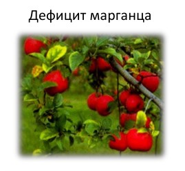 Дефицит марганца